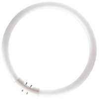 FC22W Circular