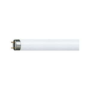 T8 Standard Fluorescent Tubes