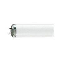 100W Fluorescent Tube White T12 (8') 2400mm