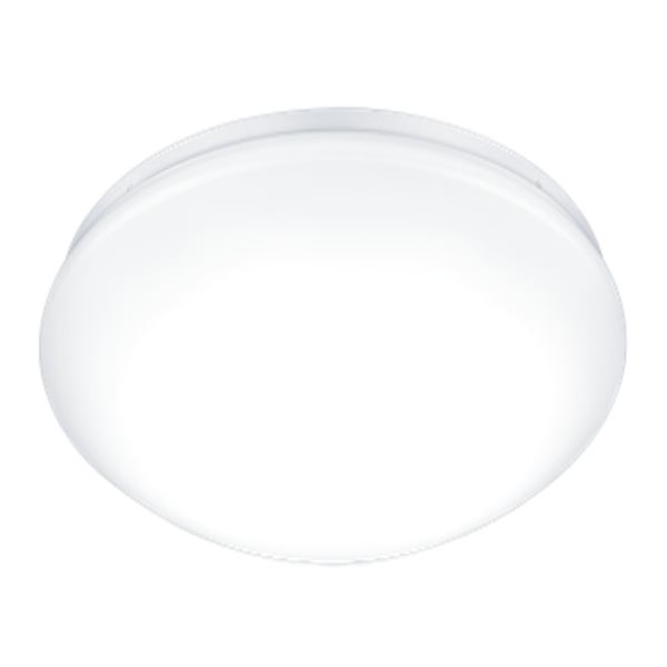 ALPINELED 30W IP44 Dec Bulkhead White bezel