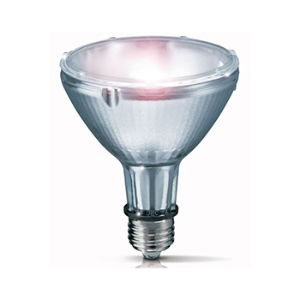 PAR30 Ceramic Metal Halide Lamps